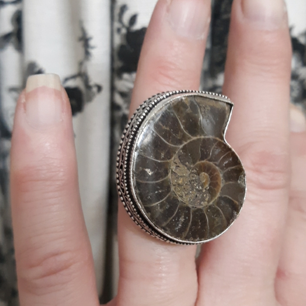 New Amonite Fossil 925 Silver Ring.